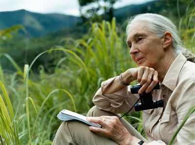 Jane Goodall is now one of the world's foremost experts on chimpanzee behaviour, after a career that begun in Tanzania. Courtesy Emirates Literature Foundation