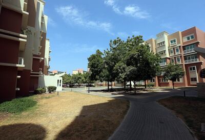 Dubai,United Arab Emirates-August, 07, 2015: Irigation system  at Discovery Gardens has not been working for around a year grass and plants have died off and the trees are drying up in the Discovery Gardens in Dubai . ( Satish Kumar / The National ) For News/ Story by Nadeem Hanif *** Local Caption ***  SK-DiscoveryGardens-07082015-02.jpg