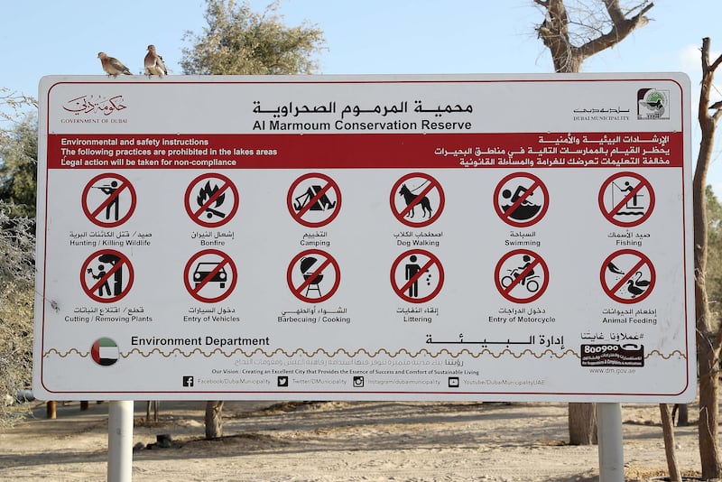 DUBAI , UNITED ARAB EMIRATES , DEC 11  – 2017 :- Warning signboards with illustrations of banned activities like bonfire, camping , barbecuing , fishing , swimming etc. put up in and around the Al Qudra Lake in Dubai.  (Pawan Singh / The National) 