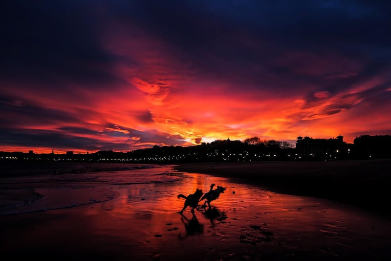 Two dogs run as the sun rises over the beach of Ondarreta, in the Basque Country, northern Spain. EPA