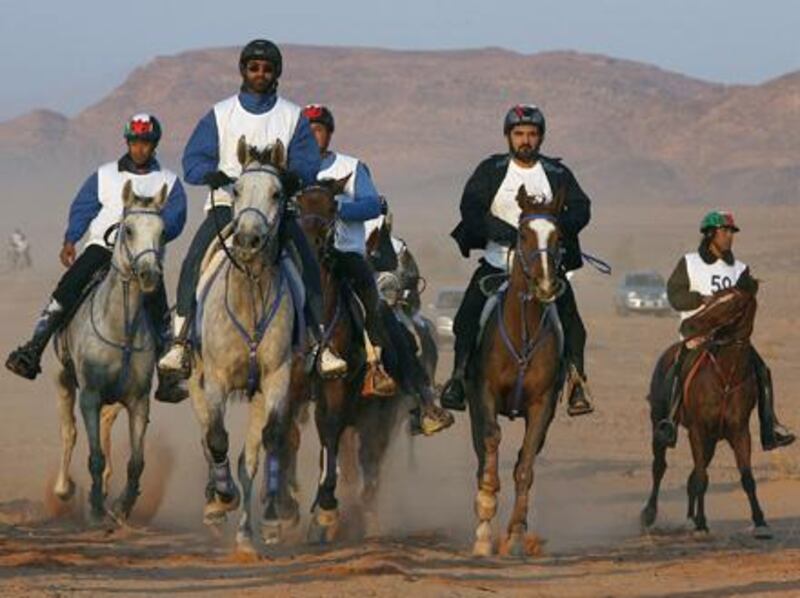 Dubai ruler Sheikh Mohammed bin Rashed al-Maktoum (2nd-R), who is also Emirati vice president and prime minister, takes part in a horse endurance race in the Jordanian desert of Wadi Rum on November 14, 2008. AFP PHOTO/AWAD AWAD *** Local Caption ***  707275-01-08.jpg