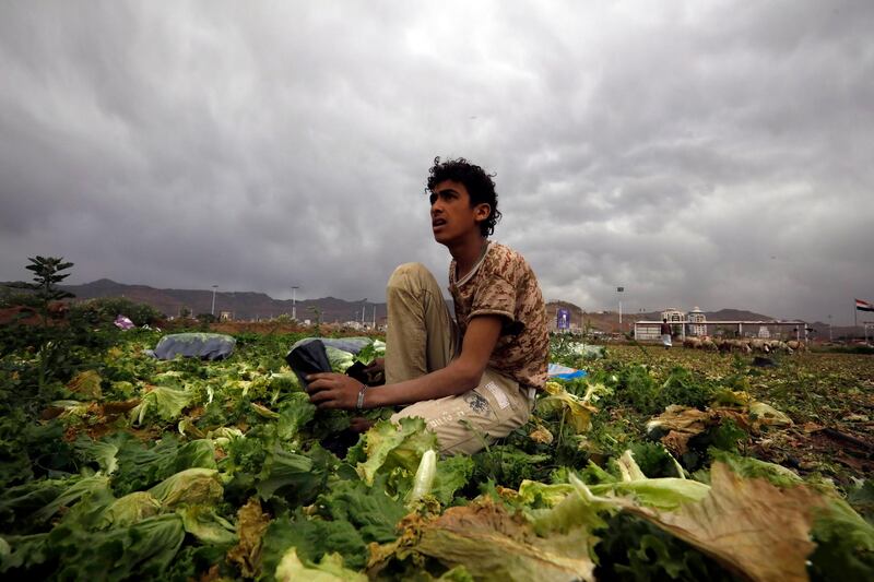 A farmer works in a field ahead of Earth Day, in Sanaa, Yemen. Every year on April 22 Earth Day is celebrated as a way to remind us how fragile our planet is. EPA