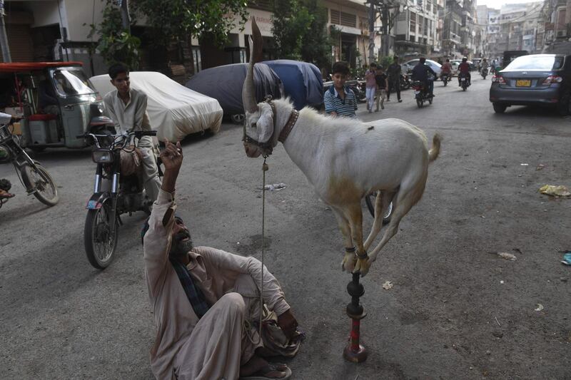 An animal handler gestures as a goat balances over a stick for onlookers along a street after the government eased the nationwide lockdown imposed as a preventive measure against the coronavirus, in Karachi. AFP
