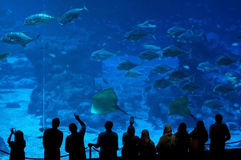 Tourists visit the South East Asia Aquarium on Sentosa Island resort in Singapore. Jewel Samad/AFP