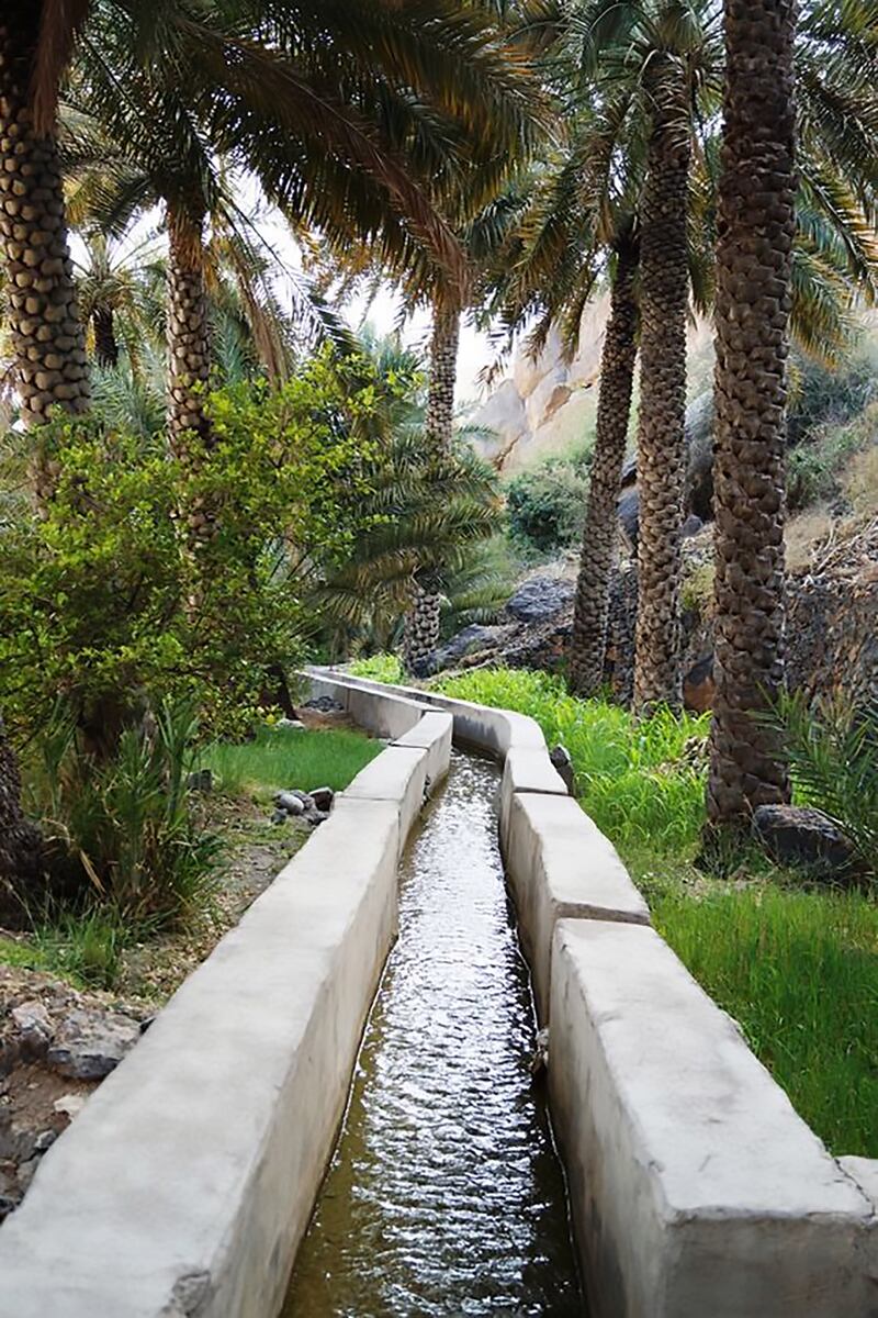 Water flows through an irrigation canal at a farm in Misfat Al Abryeen. Photo: Saleh Al Shaibany