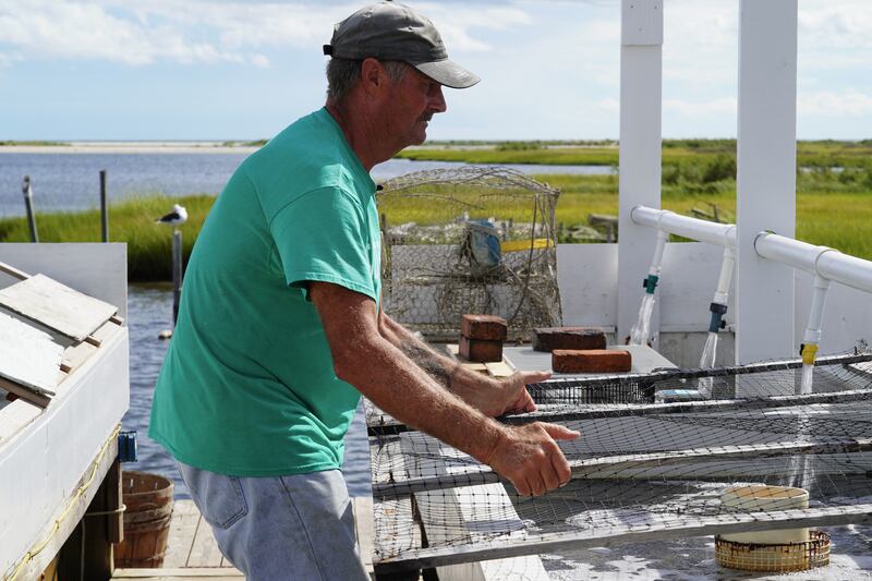 James Eskridge, who goes by 'Ooker' covers a tank holding crabs he caught. Mr Eskridge is the mayor of Tangier. Crabbing is more than a job for the men of Tangier, it's a way of life and connects them to their forefathers.