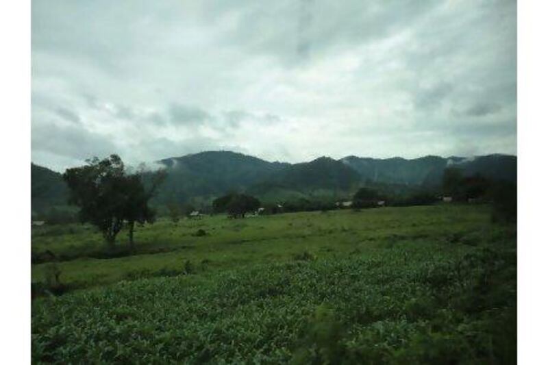 The landscape of rural Chiang Mai on the way to Elephant Nature Park, an orphanage for abused elephants in Thailand. Effie-Michelle Metallidis for The National