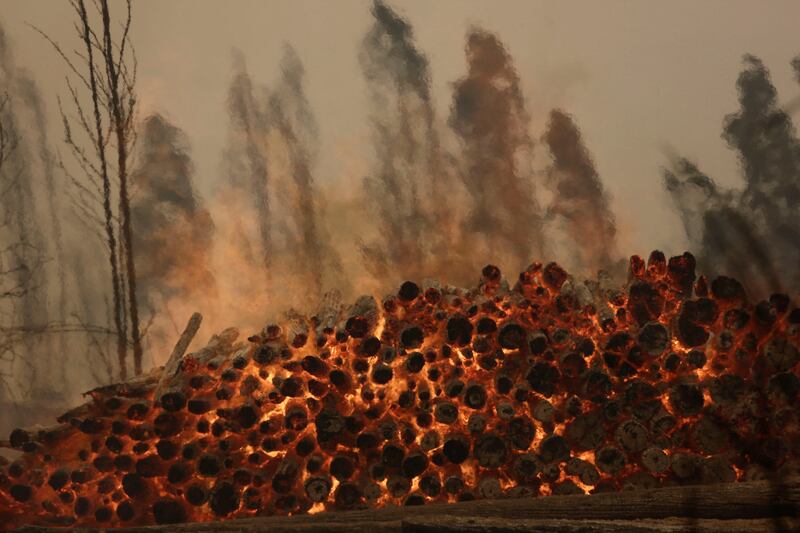 Piles of firewood burn 
