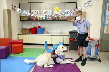 Lotus, a four-year-old retriever and an emotional support animal at Gems Metropole School in Dubai, plays with a pupil. Chris Whiteoak / The National