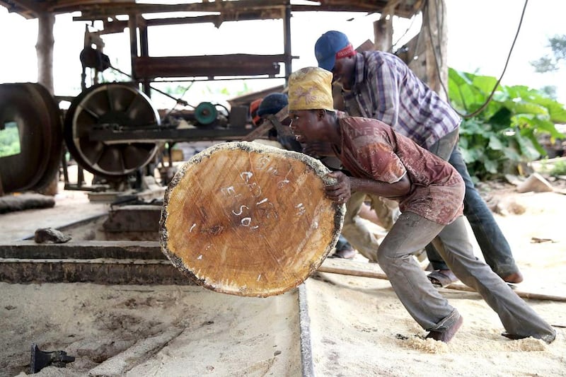 Workers roll a log into a milling machine at a sawmill near an unreserved forest in Igede-Ekiti township. Nigeria lost just over 2 million hectares of forest annually between 2005-2010 driven by agricultural expansion, logging and infrastructure development, according to UN data. Akintunde Akinleye / Reuters