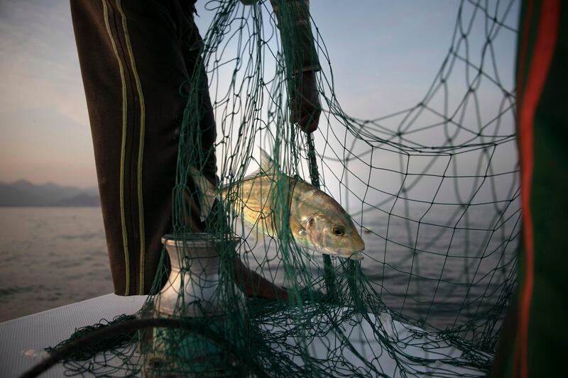 Square mesh nets help fishermen save money, marine animals