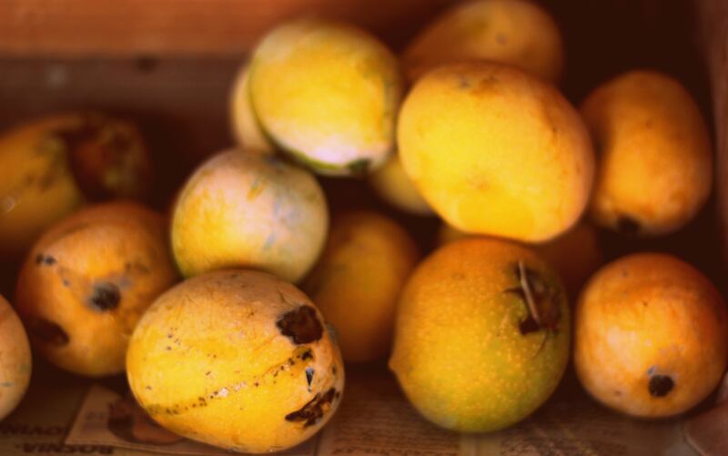 Mangoes are the national fruit of Pakistan. Adeel Shabir / Unsplash