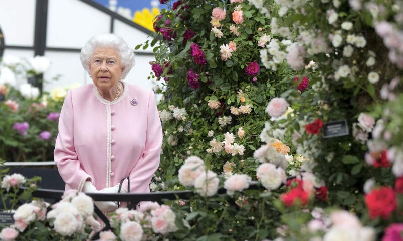 LONDON, ENGLAND - MAY 21:  Queen Elizabeth II looks at a display of roses on the Peter Beale roses display at the Chelsea Flower Show 2018 on May 21, 2018 in London, England.   (Photo by Richard Pohle - WPA Pool / Getty Images)