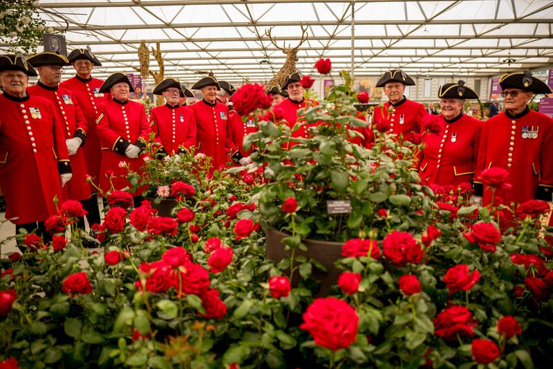 Chelsea pensioners pose with a matching rose display at the Chelsea Flower Show in London. EPA