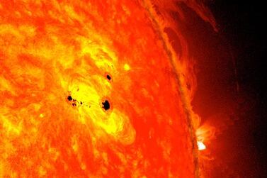 Sunspots appear as dark areas on the surface of the Sun. Courtesy: Nasa 