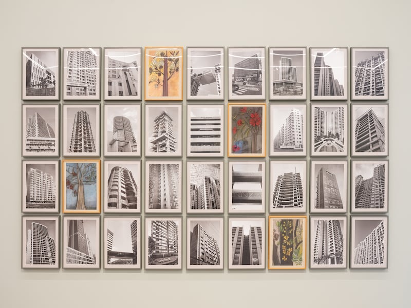 Buildings and Trees by Gauri and Vinnie Gill. All Photos: Ishara Art Foundation