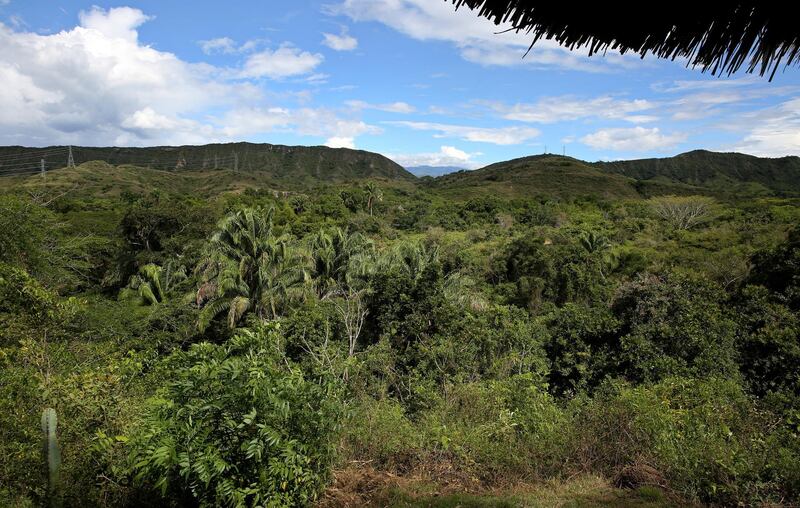epa06709954 A view of an area of the 'Attalea' Tropical Dry Forest Research Center during the presentation of the Tropical Dry Forest Recovery Programme in El Agrado, Colombia, 03 May 2018. The endangered Colombian tropical dry forest, of which it remains an estimate of 8 percent from its original extension, will recover 11,079 hectares in the next 20 years around the Magdalena river.  EPA/LEONARDO MUNOZ