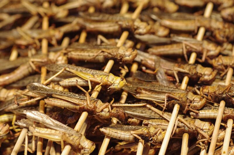 Crickets on skewers for sale at the Donghuamen Night Market, near Wangfujing Avenue in Beijing. Getty Images