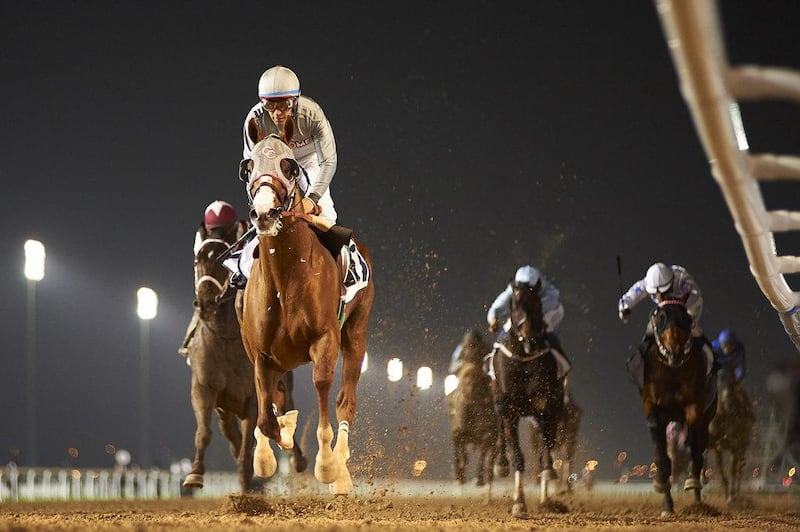 California Chrome lands the Trans Gulf Electromechanical Trophy ahead of his Dubai World Cup tilt on Saturday March 26. Credit: Andrew Watkins