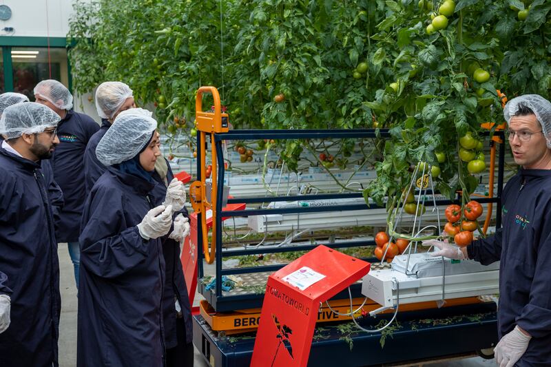 Real-time sensors and detailed data can improve the quality of a harvest and detect disease in plants. Photo: Rolf van Koppen