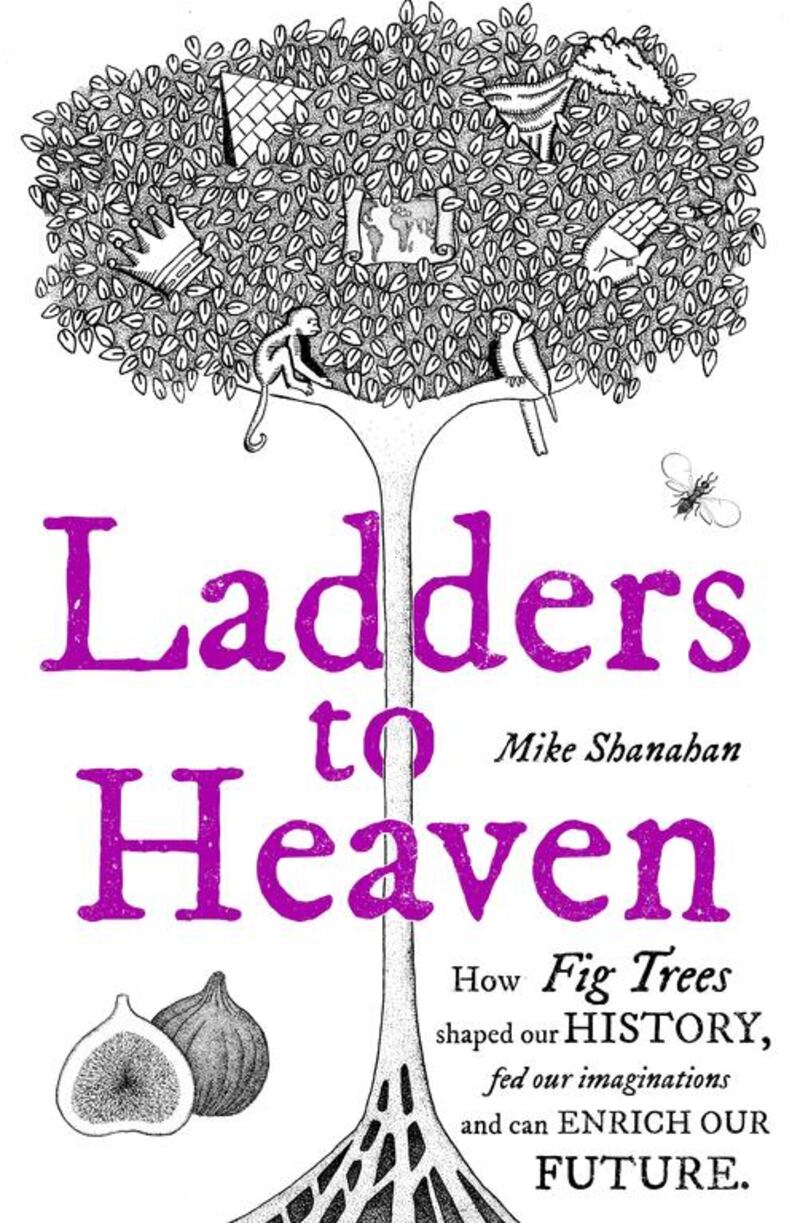 Ladders to Heaven by Mike Shanahan is published by Unbound.