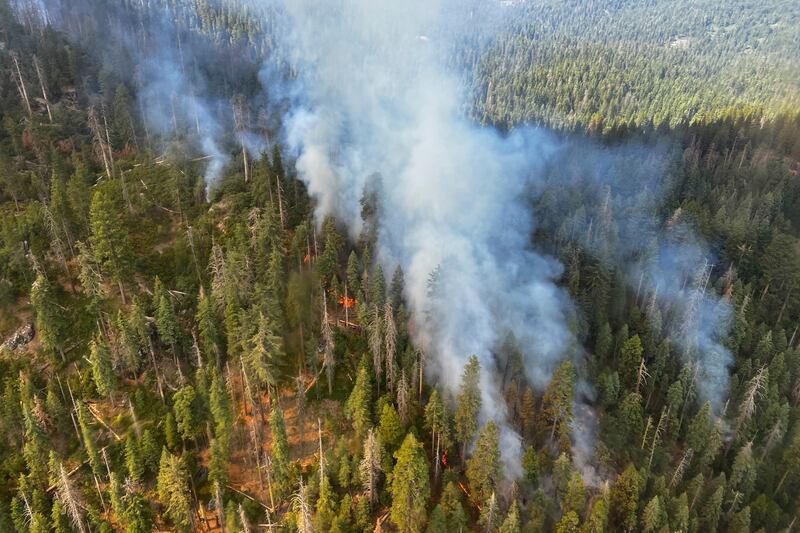 Smoke rises from the Washburn fire near the lower portion of Mariposa Grove in Yosemite National Park. AP