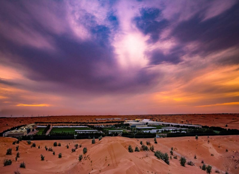 The largest organic farm in the UAE also has amazing views over the surrounding dunes.