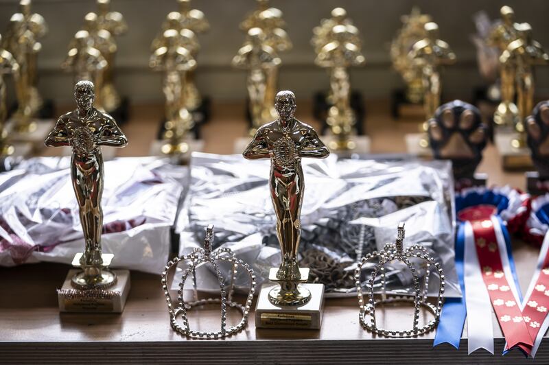 Awards for various categories during the Hollywood (A Day at the Oscars) themed Furbabies Dog Pageant. 