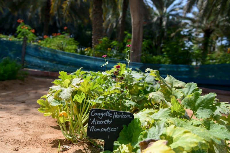 The hotel grounds are home to an organic vegetable garden. Khushnum Bhandari / The National