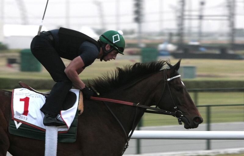 Royal Delta, a two-time Dubai World Cup winner, is trying to win the Breeders' Cup Distaff for the third time. Jeffrey E Biteng / The National