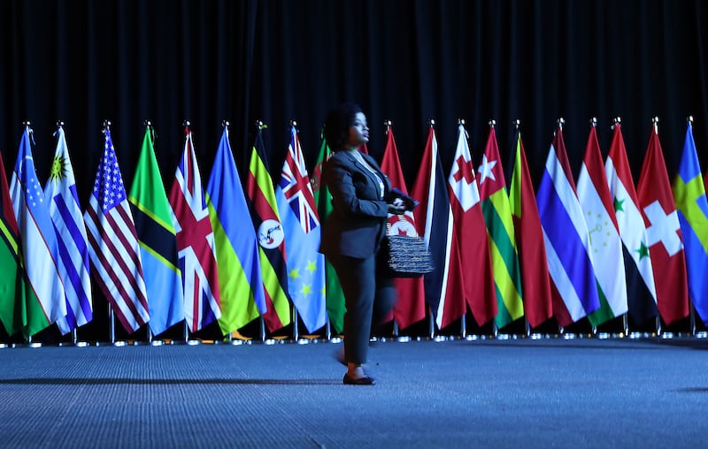 National flags displayed at the global event. Pawan Singh / The National