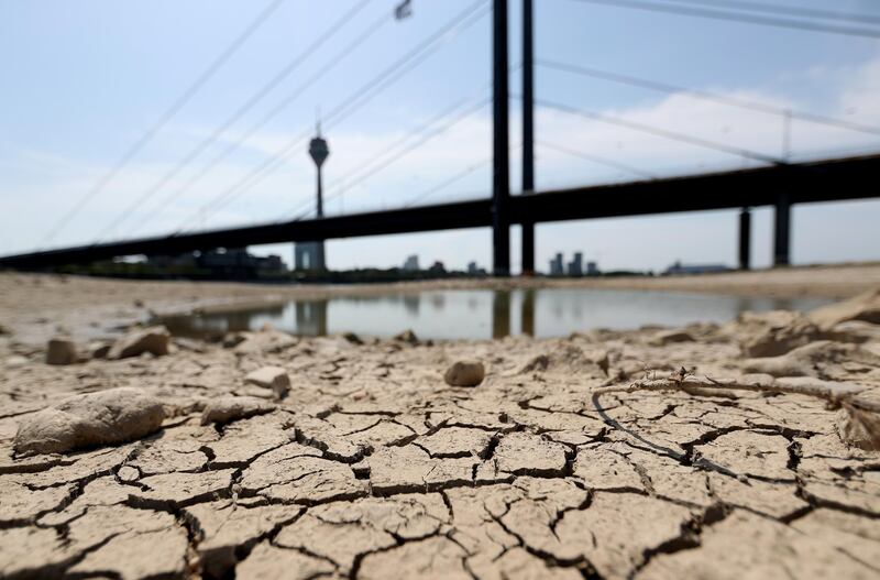 epa07742204 A temporarily dried river bed of the Rhine river in Duesseldorf, Germany, 26 July 2019. The water levels in the rivers are falling sharply. Germany experiences a heat wave with temperatures up to 42 degrees Celsius.  EPA/FRIEDEMANN VOGEL
