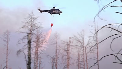 A firefighting helicopter drops water over a forest fire in Germany. AP