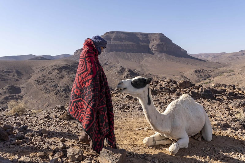 Yassir Drief in Zodi & Tehu: Princes Of The Desert. Photo: Sife Elamine