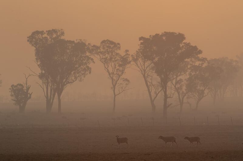 Smoke from the Gulf Road fire in Torrington fills the early morning sky in Glen Innes, Australia. Getty Images