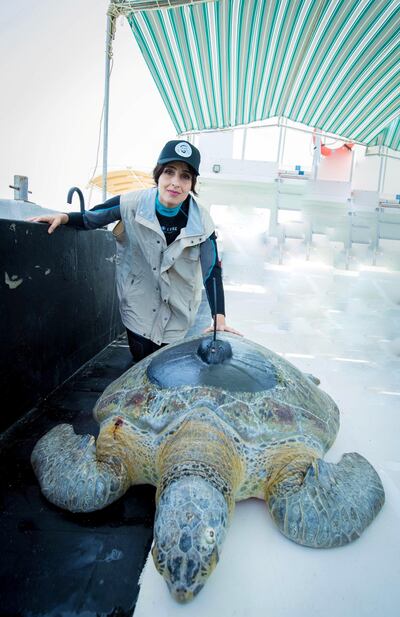 Razan Al Mubarak, secretary general of Environment Agency Abu Dhabi, with a turtle she helped tag before releasing it into Abu Dhabi's waters in April 2018. Courtesy: Environment Agency Abu Dhabi