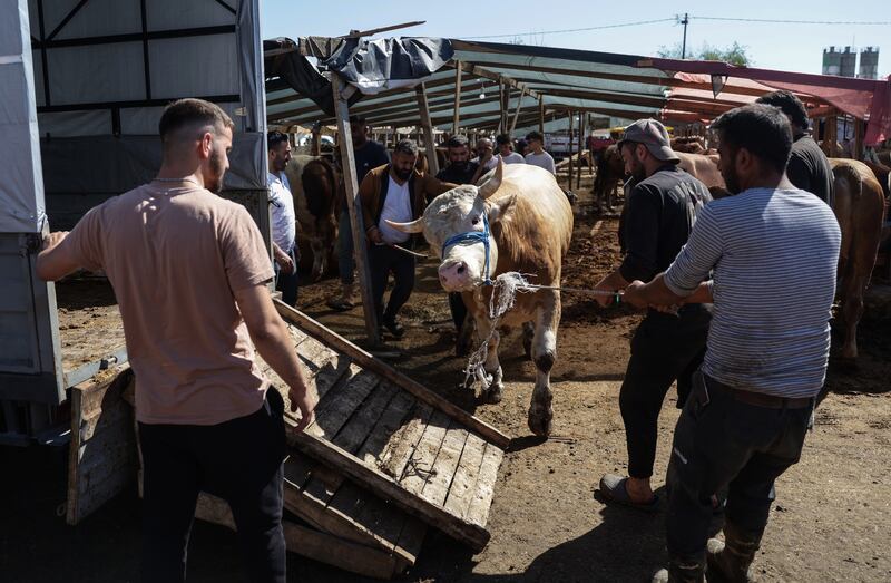 A sacrificial bull is loaded on to a trailer during Eid Al Adha celebrations in Istanbul. EPA