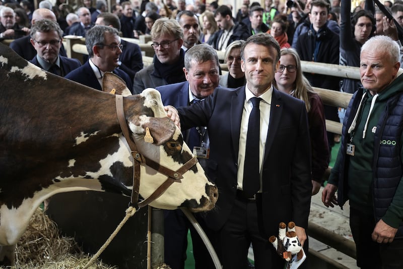 French President Emmanuel Macron pets a cow during the 60th International Agriculture Fair in Paris, France. EPA