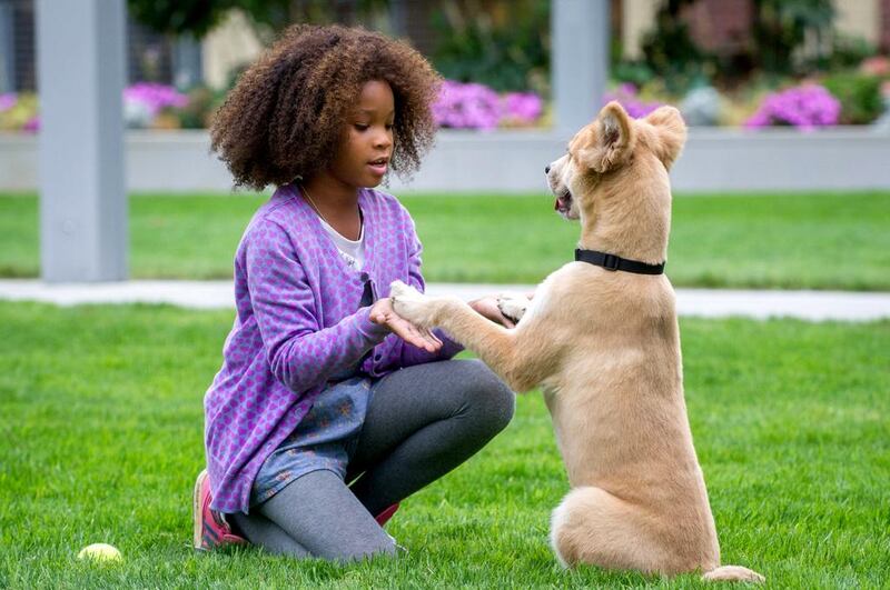 Quvenzhané Wallis takes on the title role in the remake of the 1982 musical. “You forget that she is only 11 years old,” says the actor Jamie Foxx of his young co-star. Barry Wetcher / Sony / Columbia Pictures / AP Photo

