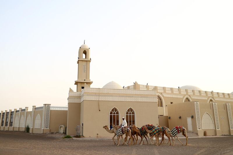 A view of Dubai on a Ramadan morning as a camel handler walks his animals past a mosque shortly after suhoor, the meal taken at the beginning of a day-long fast. Getty Images