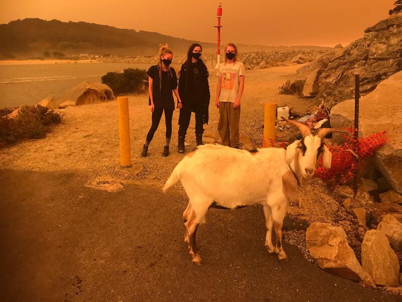 People stand next to their goat as bushfires burn, in Narooma, New South Wales, Australia. EPA
