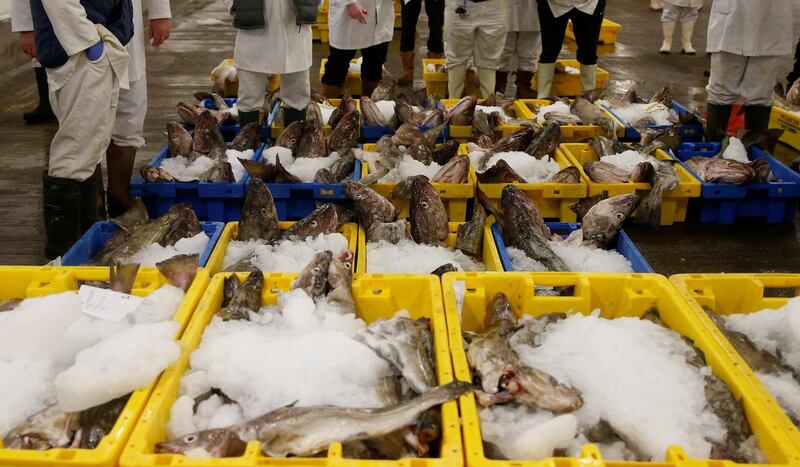 FILE PHOTO: Fish buyers stand next to boxes of cod during the daily auction at the fish market in Grimsby, Britain November 17, 2015. REUTERS/Phil Noble/File Photo