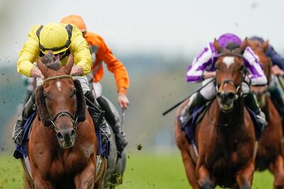 ASCOT, ENGLAND - OCTOBER 17: Tom Marquand riding Addeybb (yellow) win The Qipco Champion Stakes during the Qipco British Champions Day at Ascot Racecourse on October 17, 2020 in Ascot, England. Owners are allowed to attend if they have a runner at the meeting otherwise racing remains behind closed doors to the public due to the Coronavirus pandemic. (Photo by Alan Crowhurst/Getty Images)