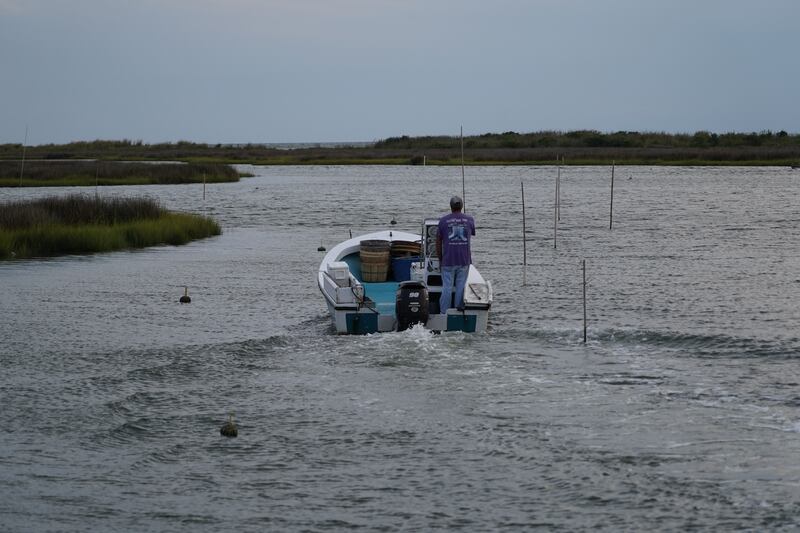 Mr Eskridge navigates the narrow channel that leads to his crab shanty. 