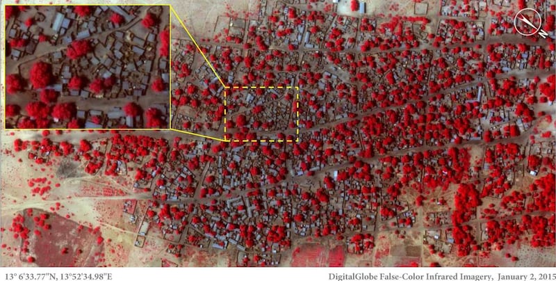 Satellite images by DigitalGlobe space imagery vendor show dense housing in Doro Baga,  north-east Nigeria, before a Boko Haram attack. The red areas indicate healthy vegetation. EPA