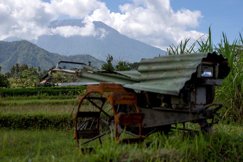 An abandoned plough is left on the paddy field as Mount Agung volcano is covered by clouds (back), in Karangasem on Bali island on September 29, 2017. 
A rumbling volcano on the holiday island of Bali is spewing steam and sulphurous fumes with more intensity, heightening fears of an eruption as officials said the number of evacuees had topped 144,000. / AFP PHOTO / BAY ISMOYO