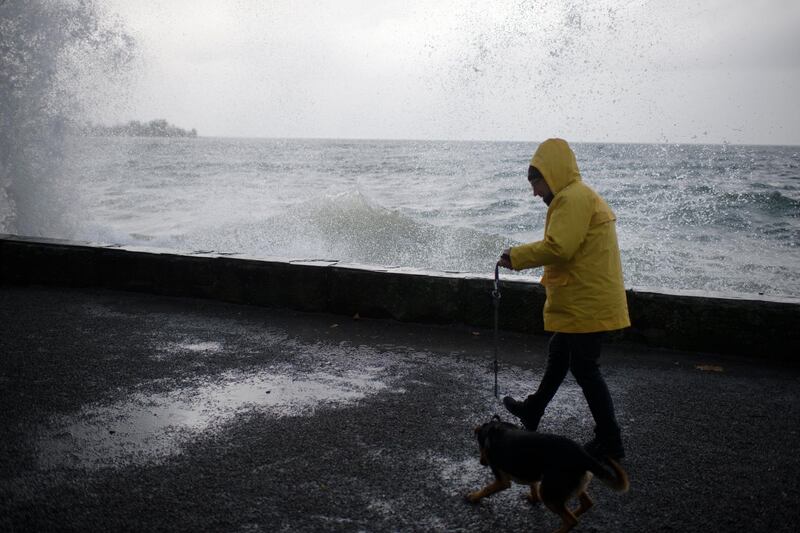 A man walks a dog along the banks of Lake Constance, in Rorschach, Switzerland. Gian Ehrenzeller / EPA