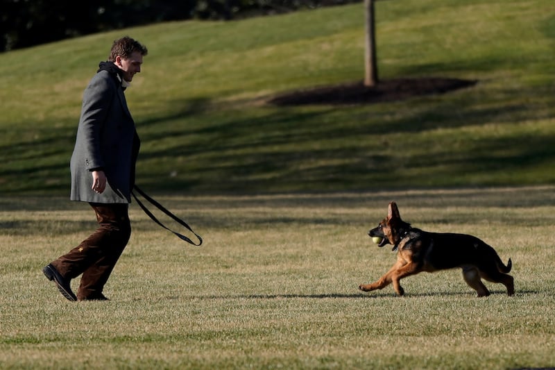 Commander, the Biden family’s new puppy, plays with Peter Neal outside the White House. Reuters