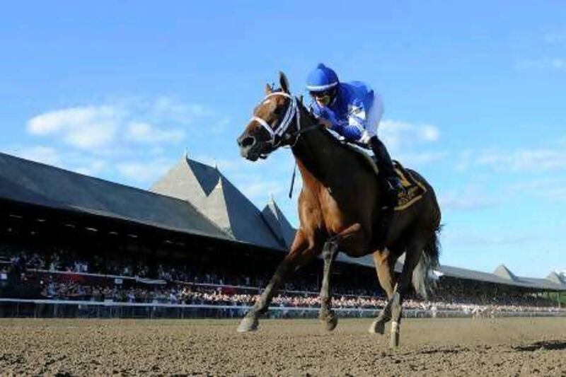 Questing will compete in the Breeders' Cup. New York Racing Association / AP Photo