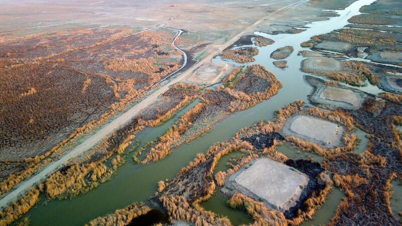 The rapidly drying marshes of Chibayish in Iraq's southern Dhi Qar province. AFP